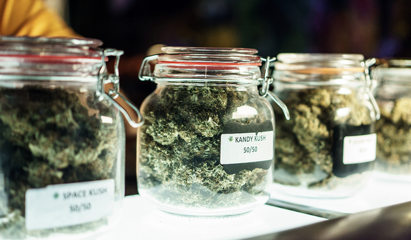 cannabis business insurance - dispensary featuring dried marijuana flower in jars
